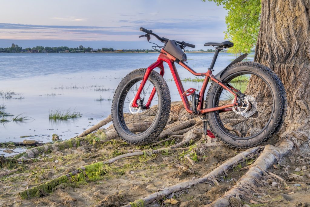 fat tire bike with fender