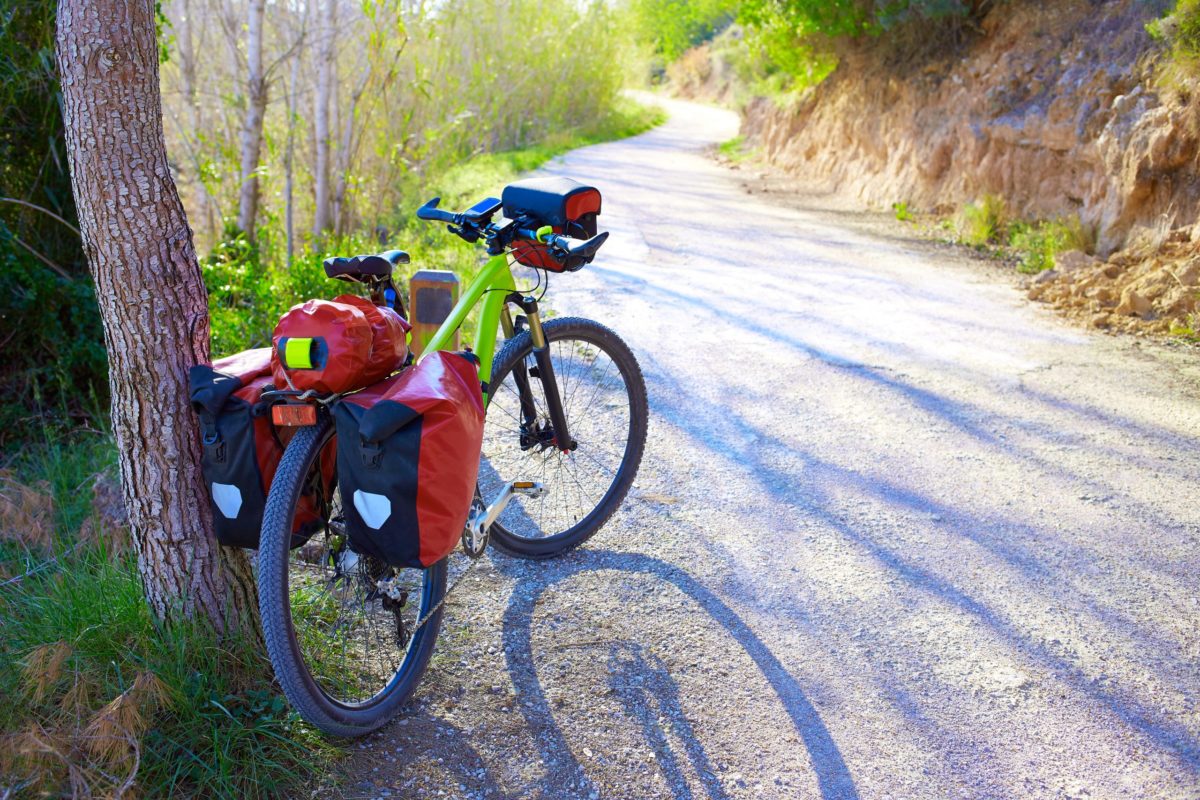 bike in forest with panniers