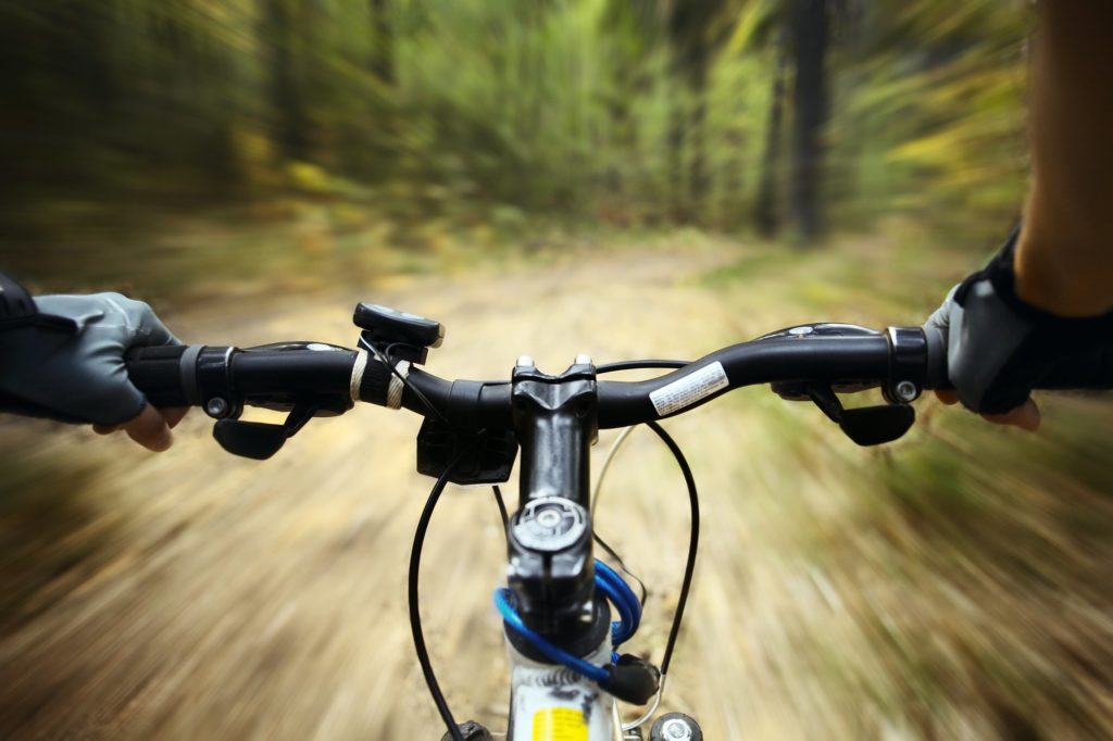 mountain bike gloves in forest