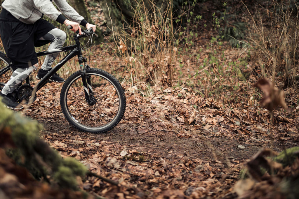 mountain biking through the forest