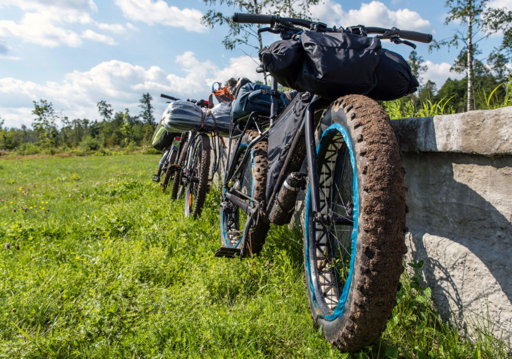 Fat Bikes Lined Up