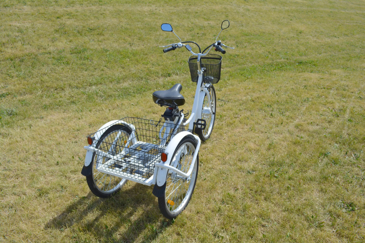 adult tricycle trike