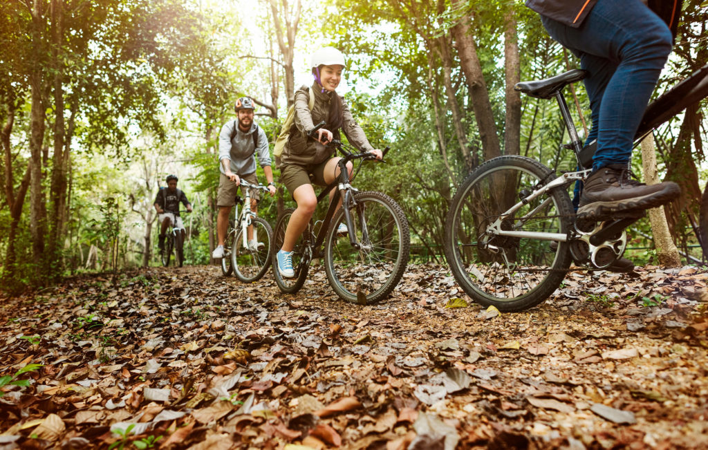 mountain bikers in forest