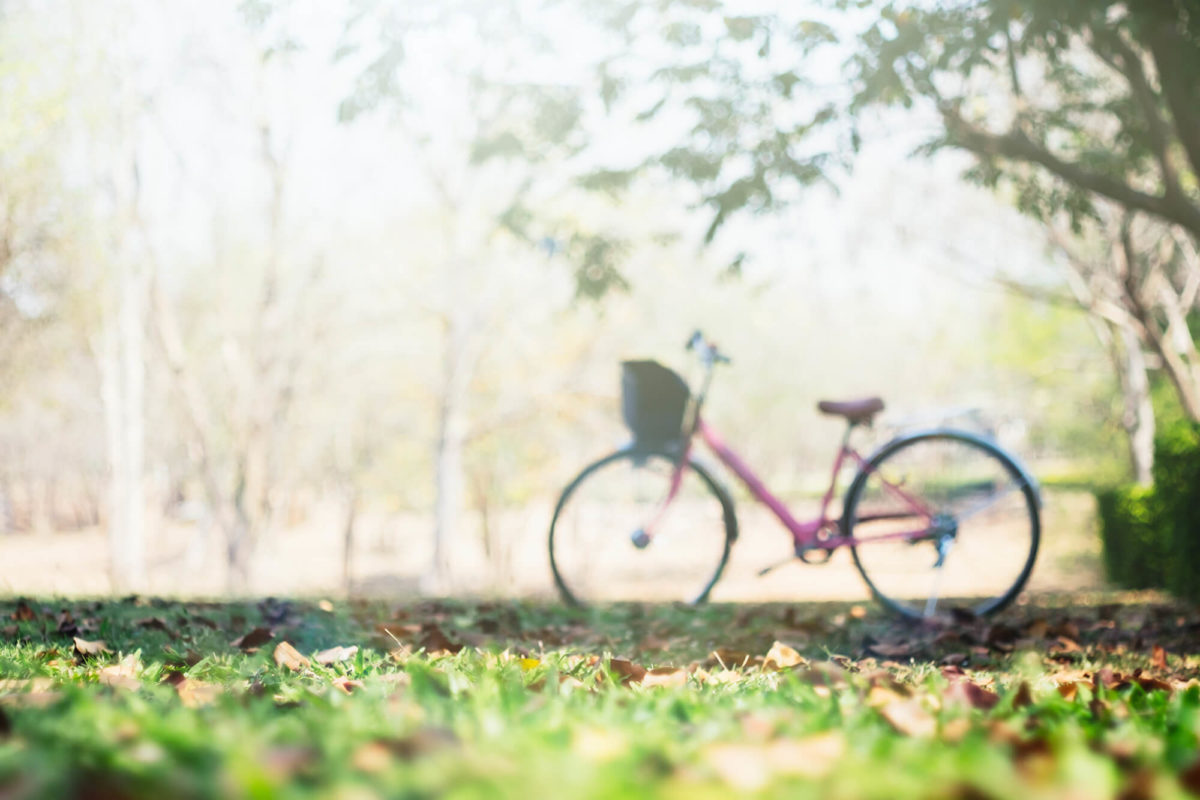 best ouside bike storage and sheds