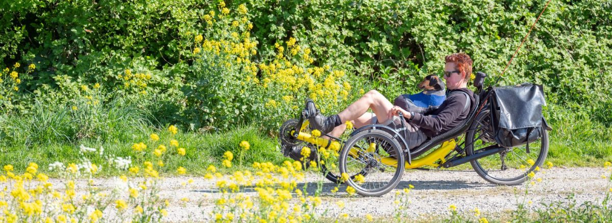 What is a recumbent bike